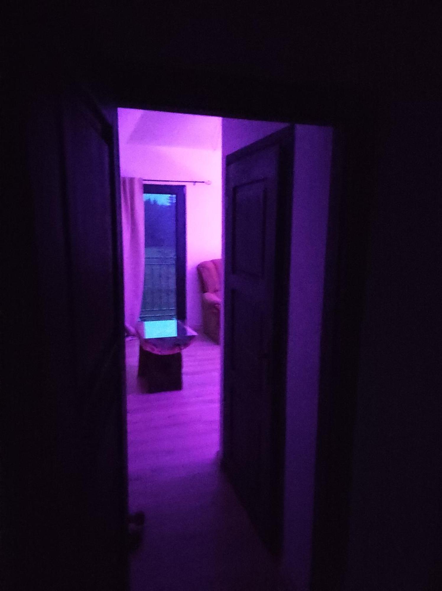 Holiday Nature House Izvoare  Esterno foto
